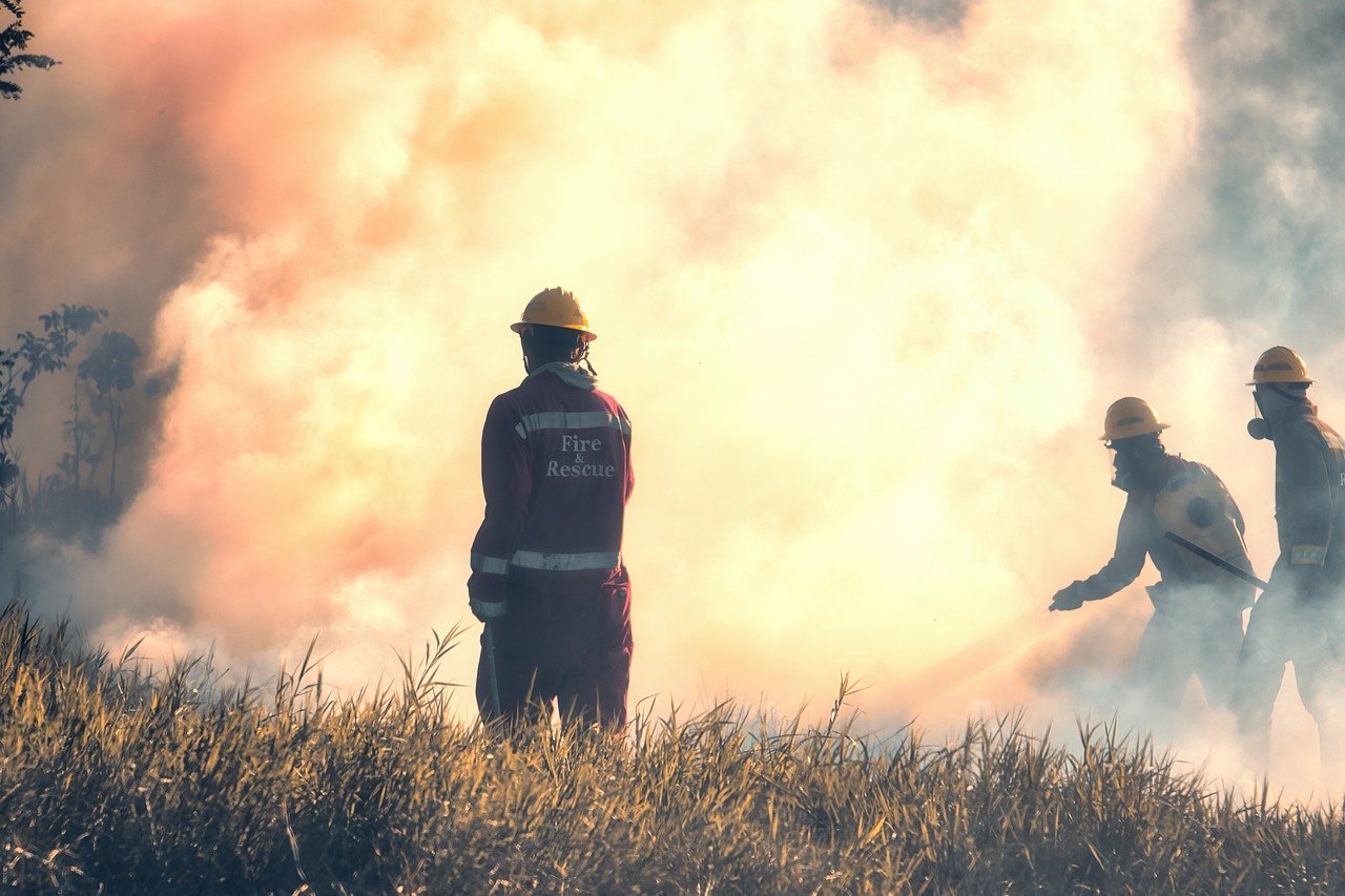 Lutte contre les feux de forêt : le rôle des pompiers